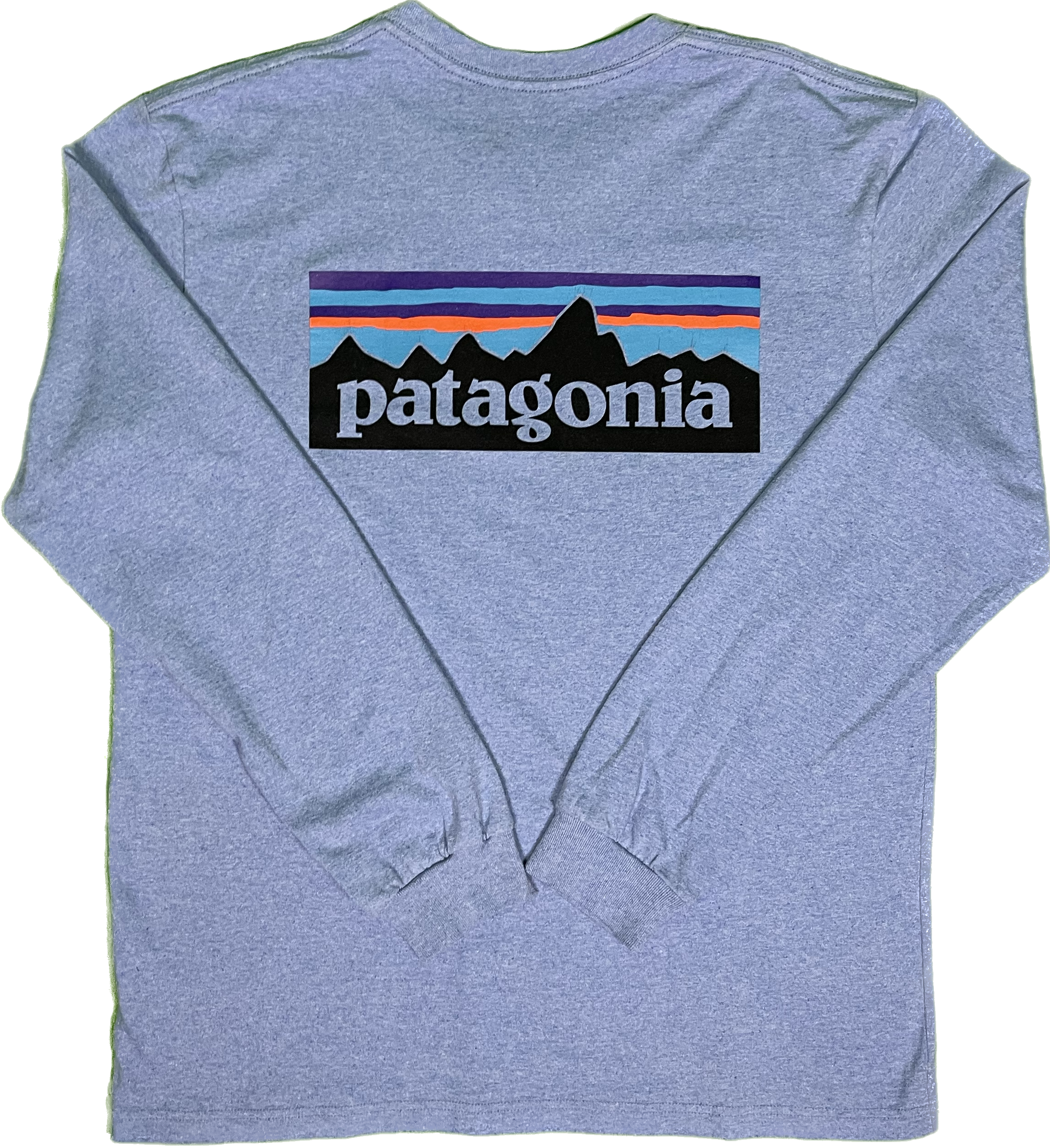 Patagonia T-Shirt