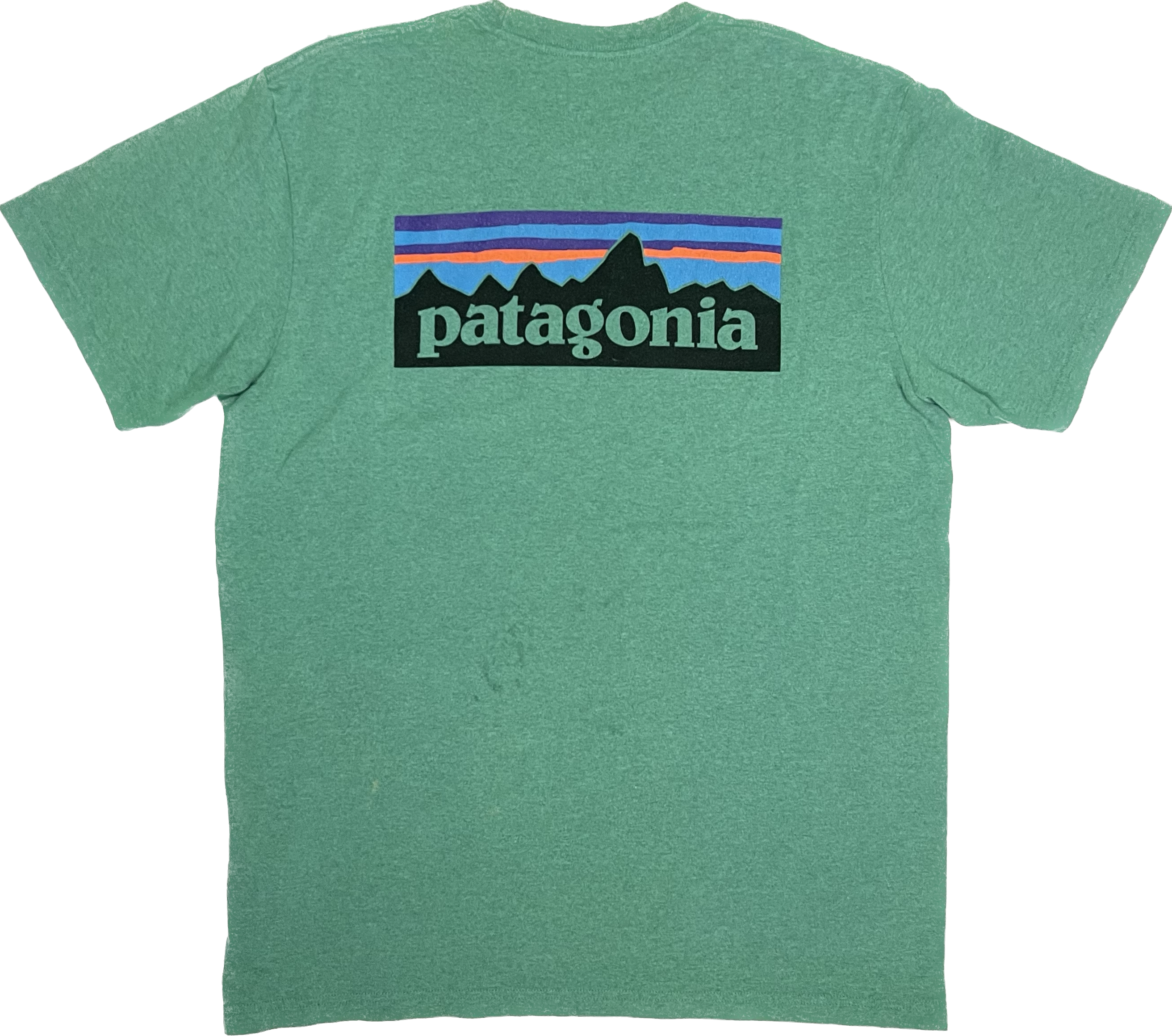 Patagonia T-Shirt
