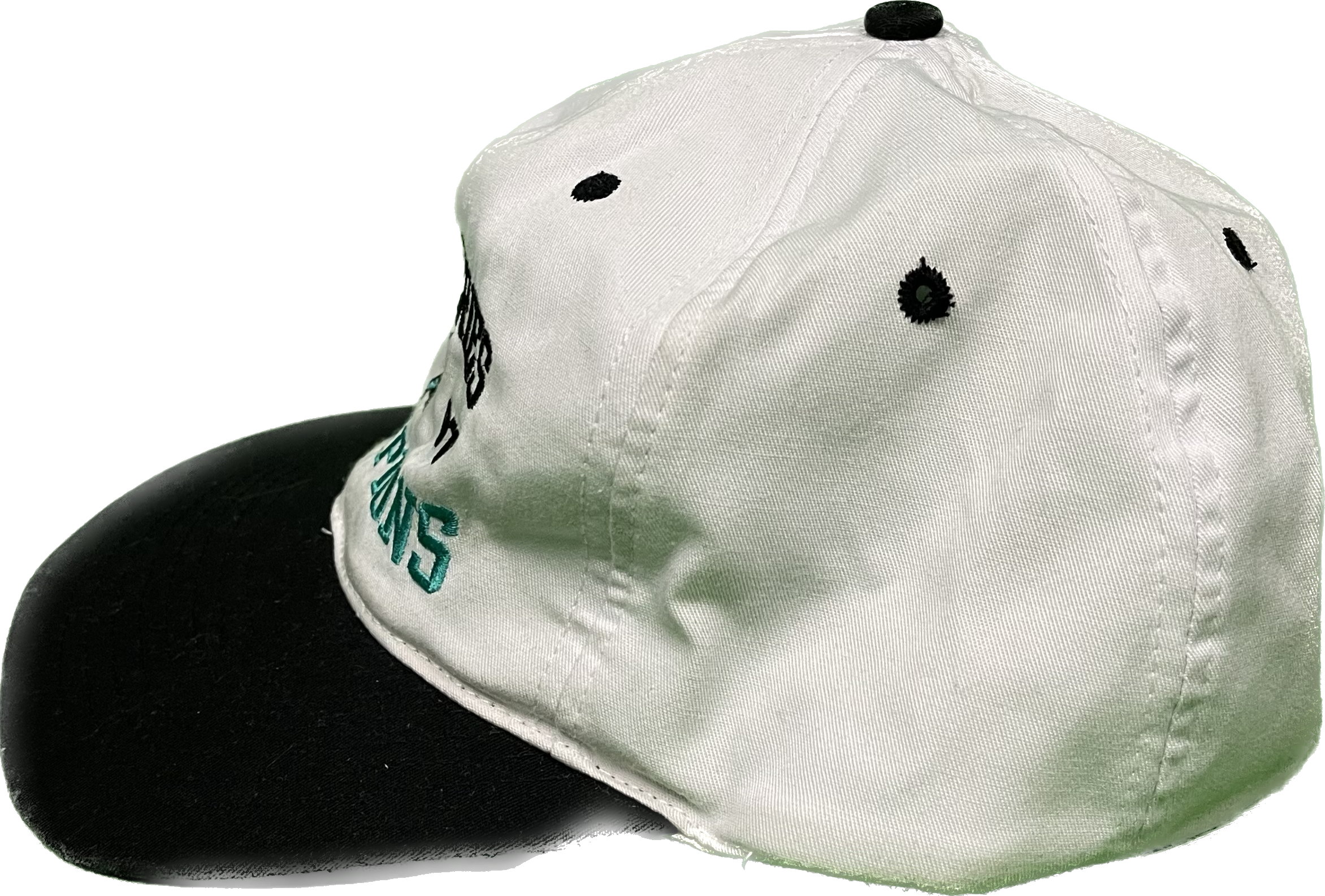 97' Florida Marlins World Series Champions