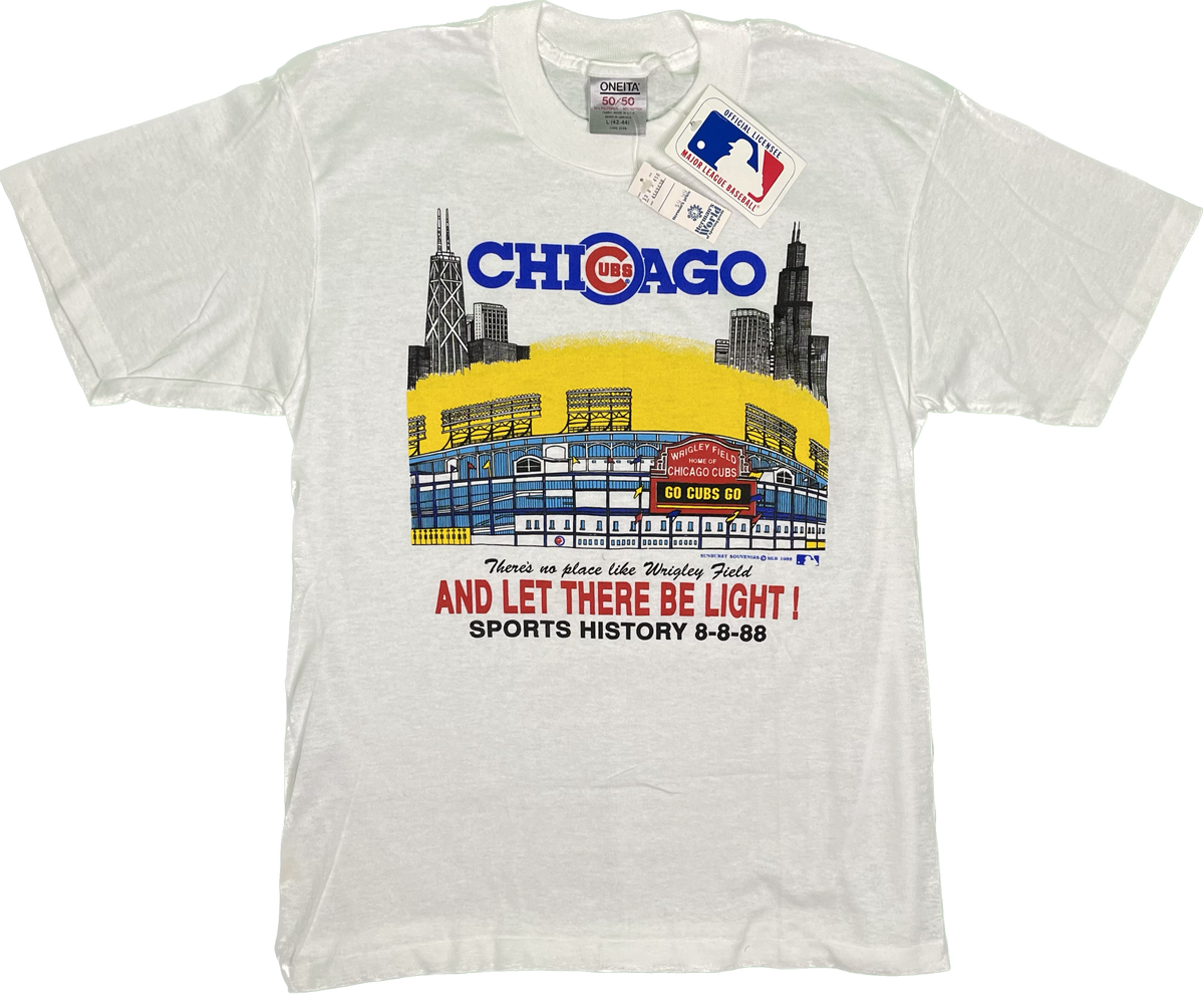 Vintage Chicago Cubs World Champions MLB Baseball Grey 