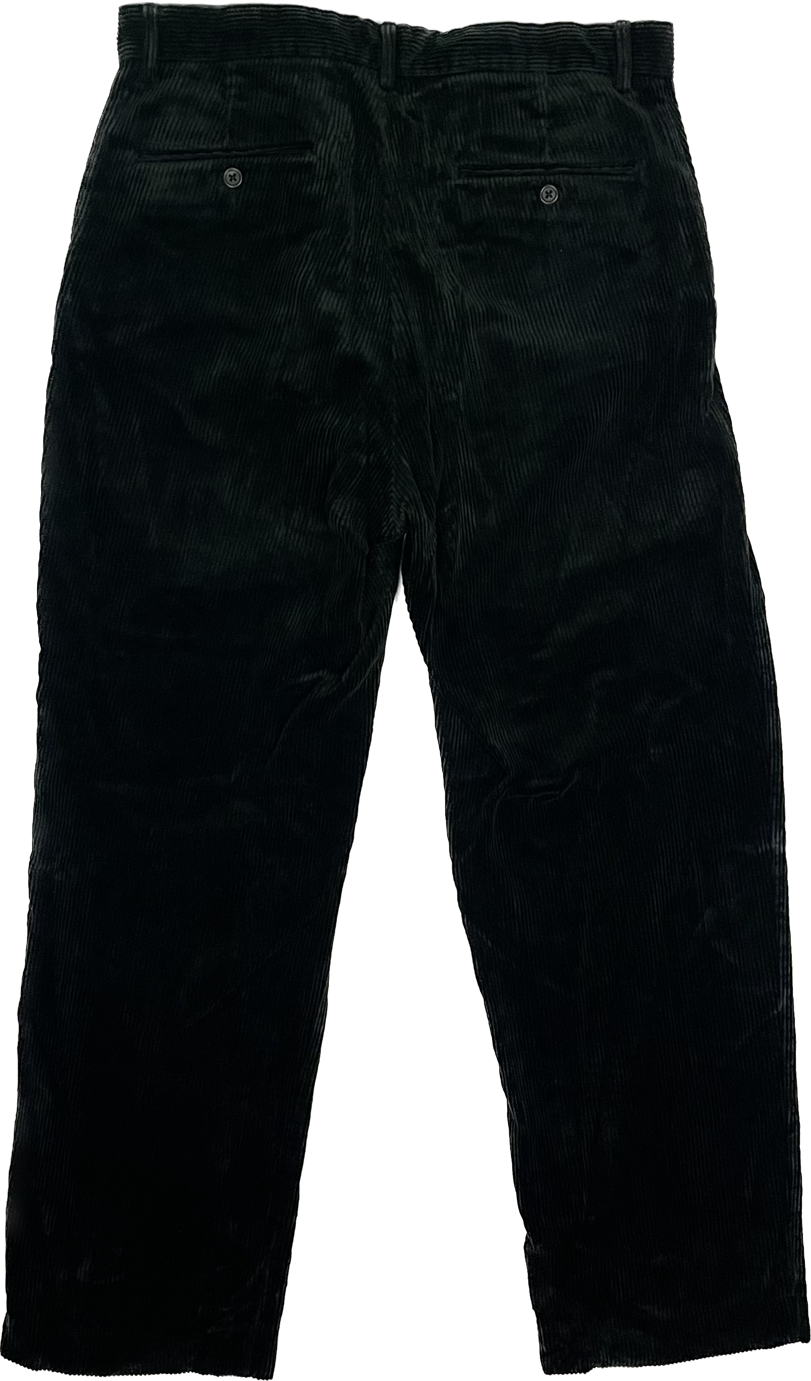 Polo Ralph Lauren Pants