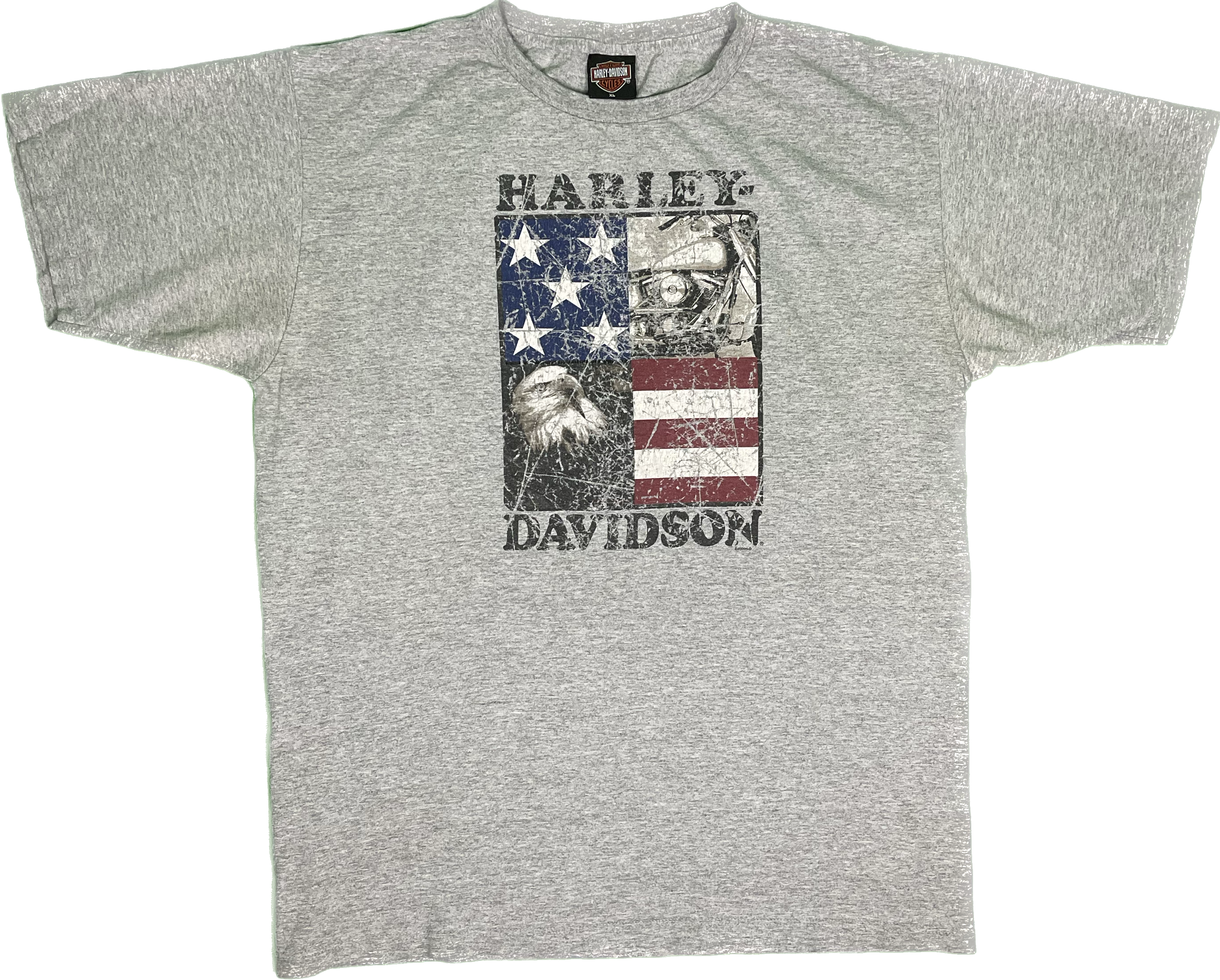 Harley Davidson Gator Leesburg Florida T-Shirt