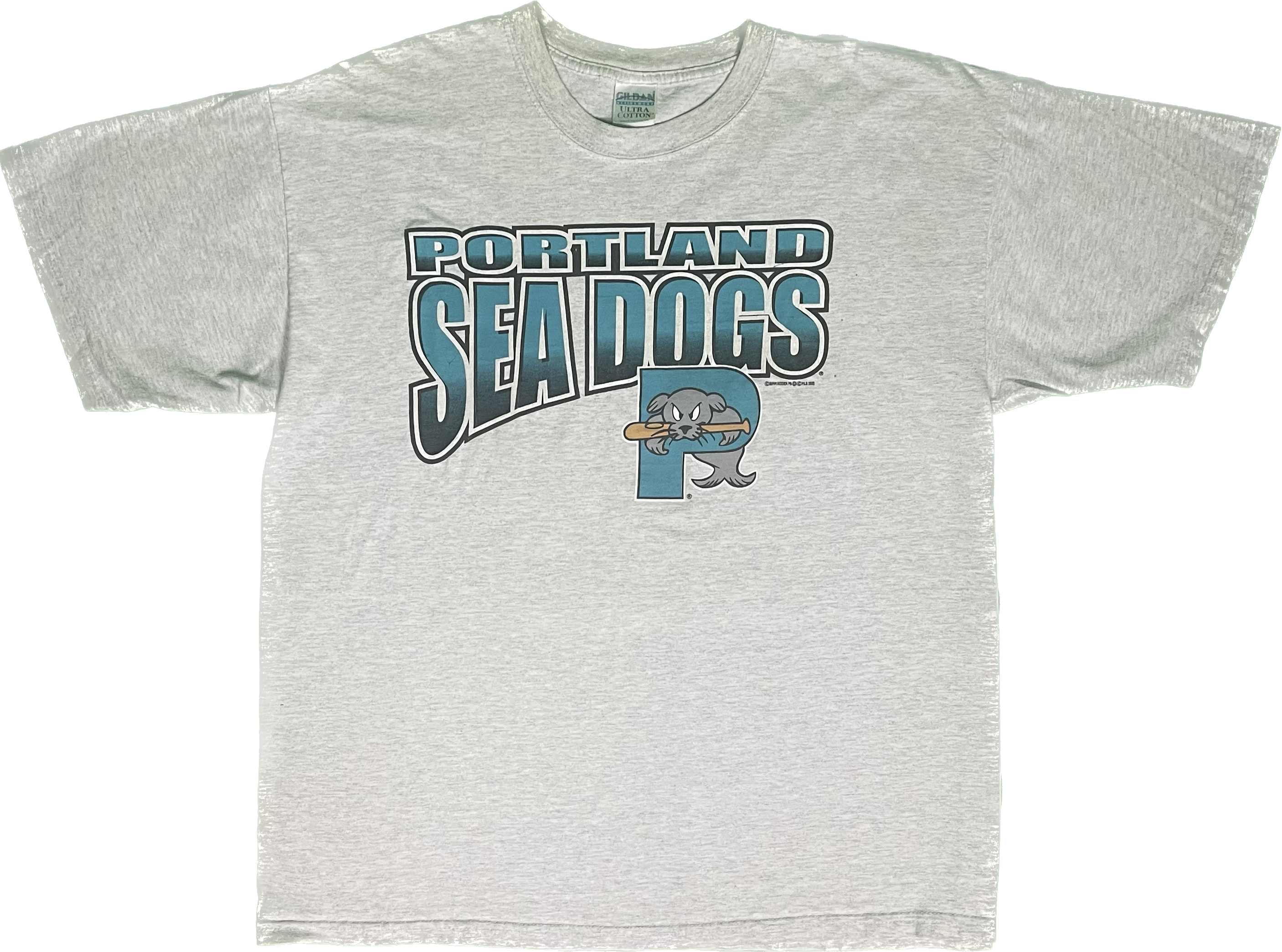Vintage Florida Marlins Logo Design Classic T-Shir T-Shirt